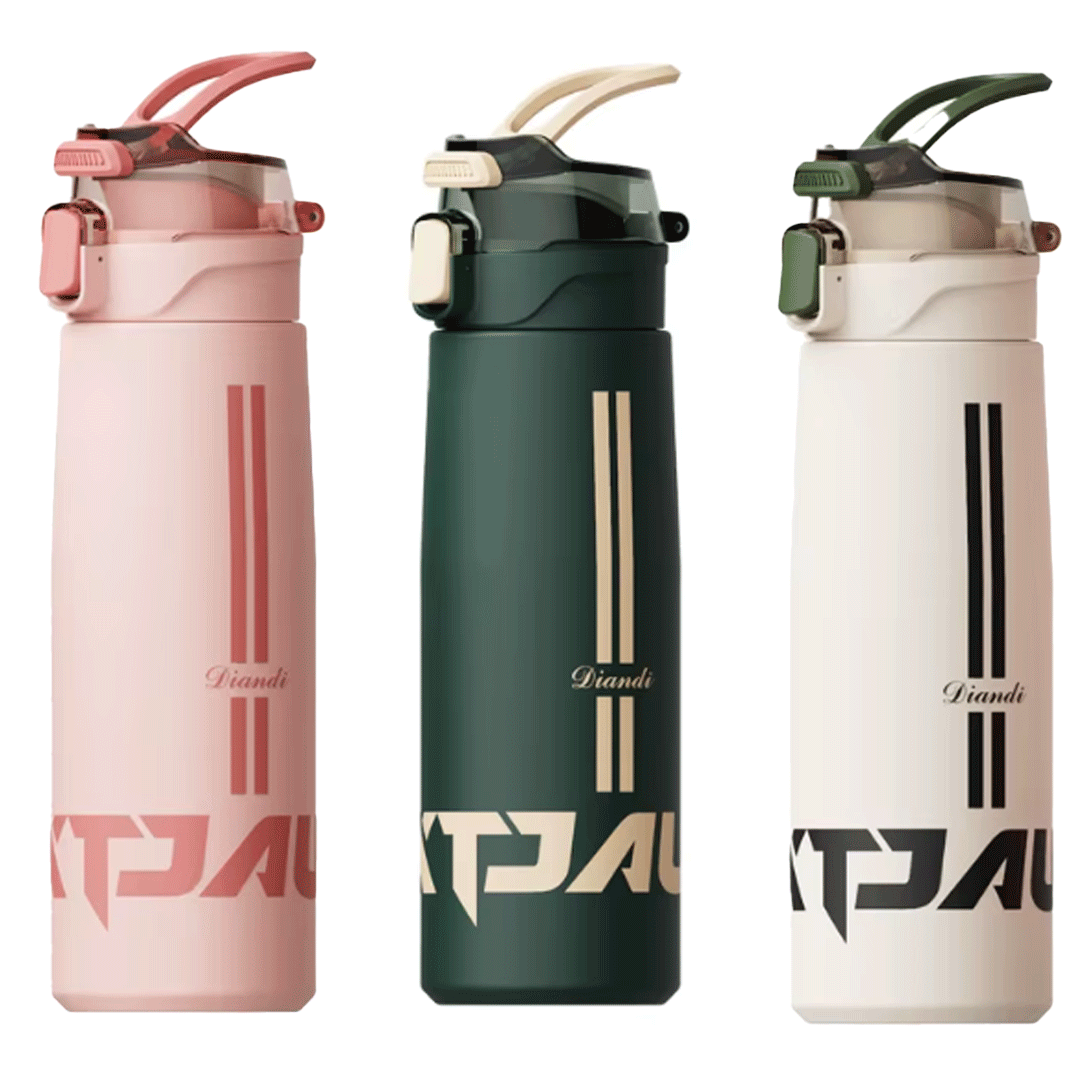 Premium Quality Stainless Steel Bottle (550mL)