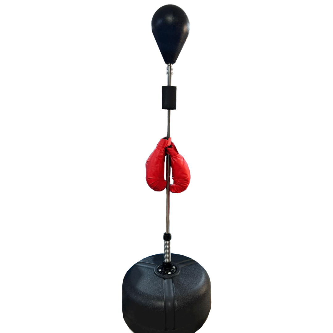 High Speed Punching Bag + Gloves