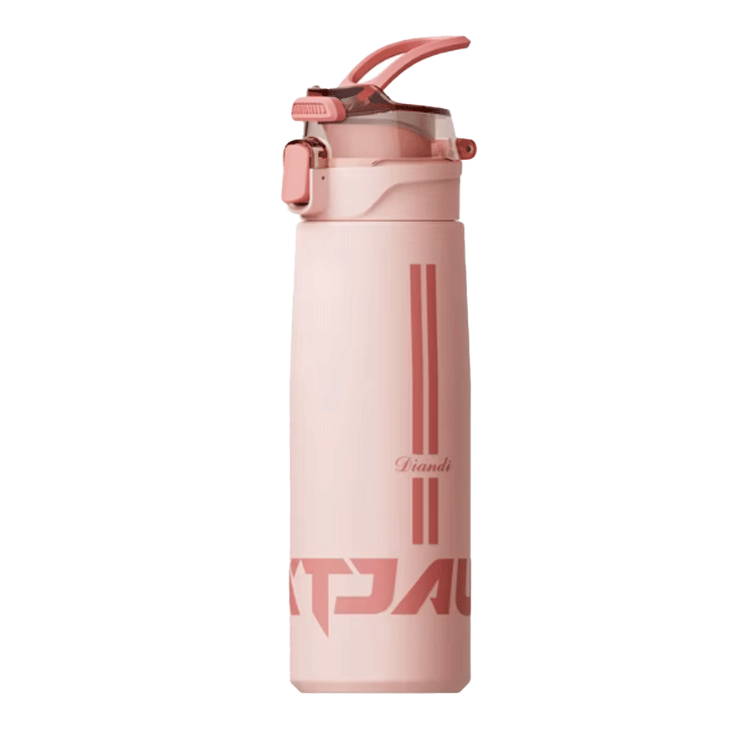 Premium Quality Stainless Steel Bottle (550mL)