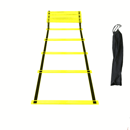 Sports Training Ladder