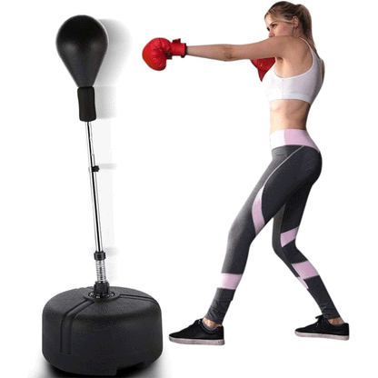 High Speed Punching Bag + Gloves