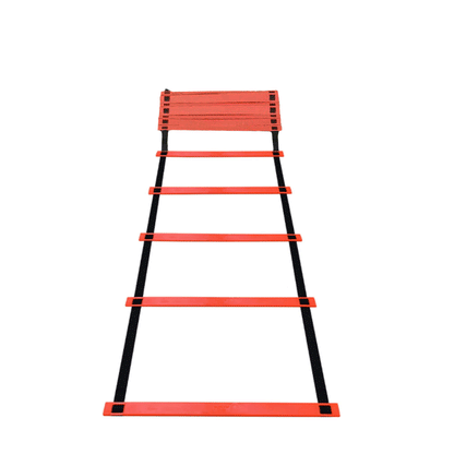 Sports Training Ladder