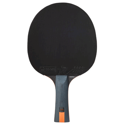 PingPong Table Tennis Racket (4 Stars)