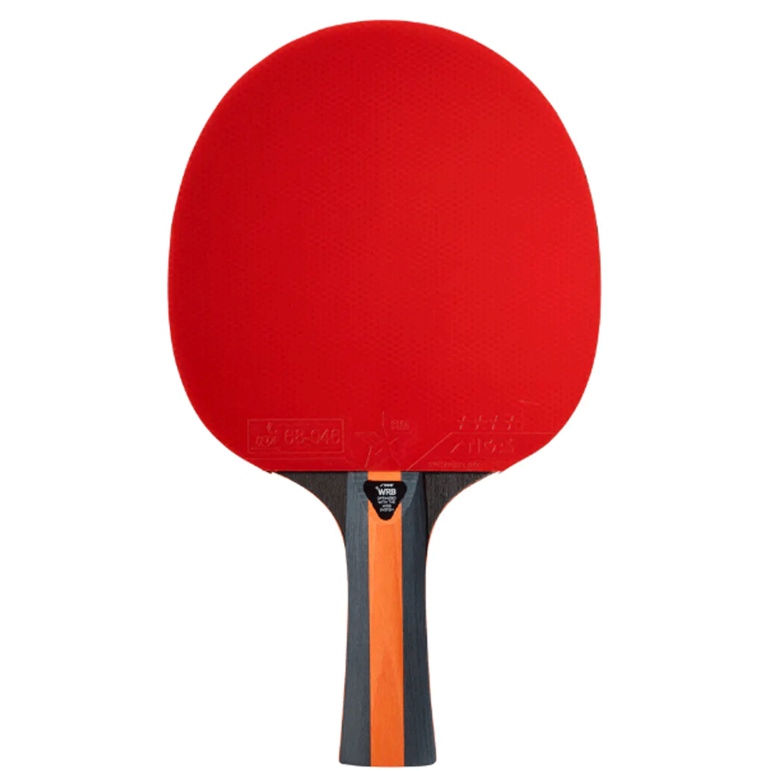 PingPong Table Tennis Racket (4 Stars)